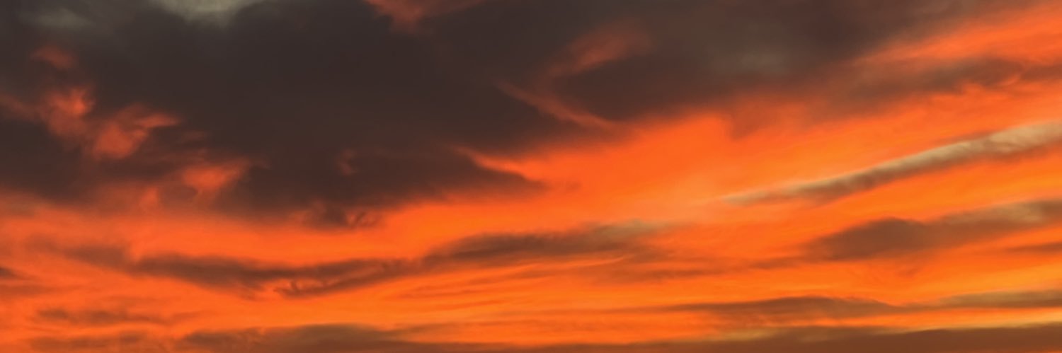 jonivor's profile banner image