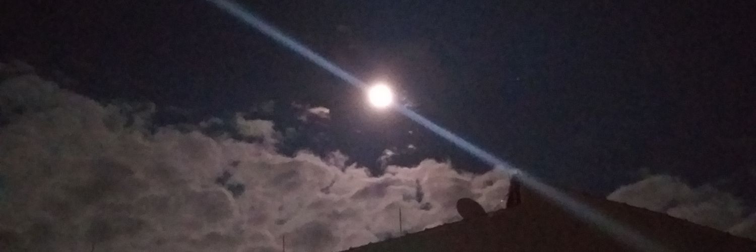 Leilagarossi's profile banner image