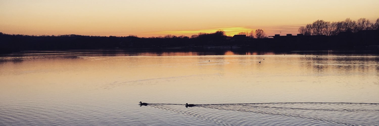 Lewis Allwood banner