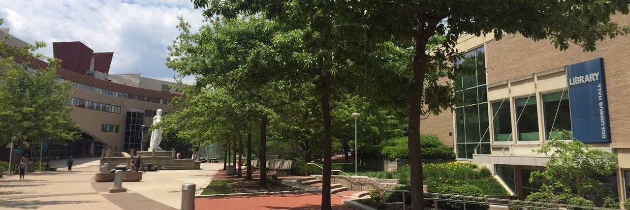 Columbus State Library banner