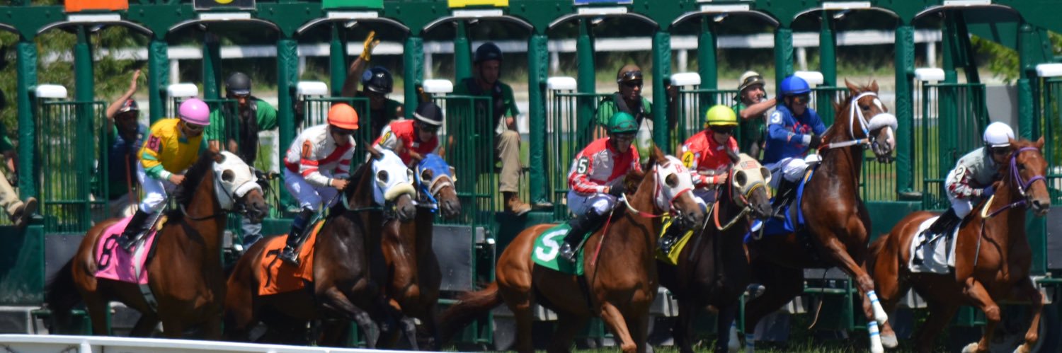 TurfCapper's profile banner image