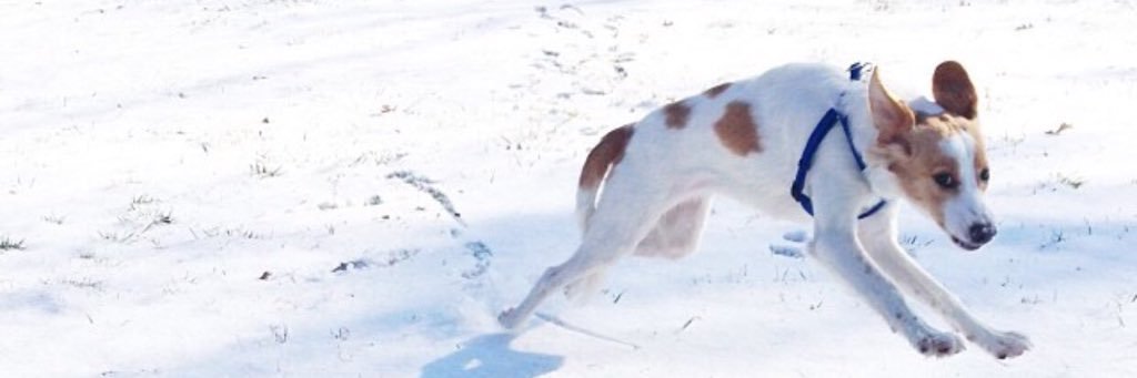 Slider banner
