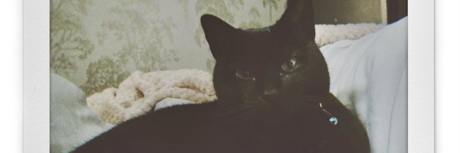 Gee_Harriet's profile banner image