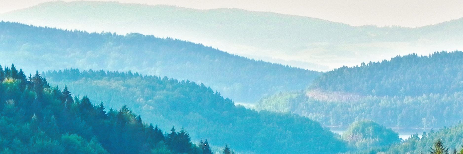 hedelnb's profile banner image