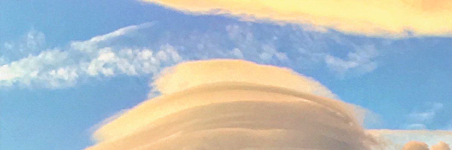 Mitsuipan's profile banner image