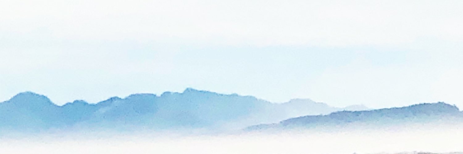 josh kneedler banner