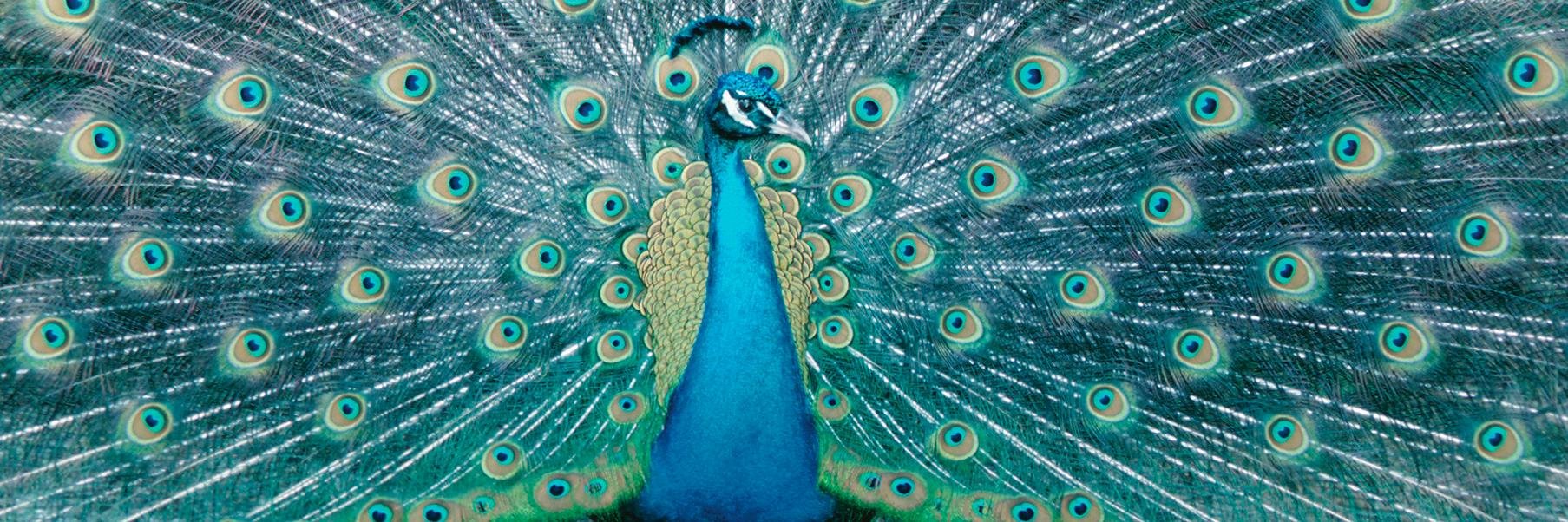 beminted's profile banner image