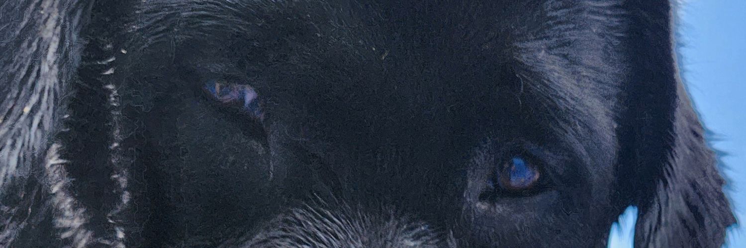 fitznla's profile banner image