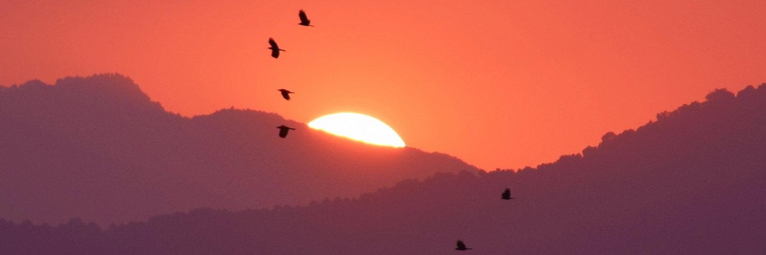 dineshkark's profile banner image
