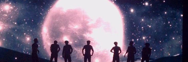 sofiawhaliens's profile banner image