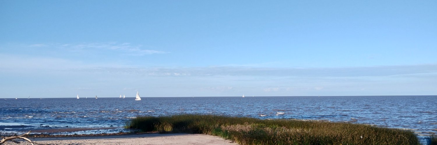 CaroSolMartinez's profile banner image