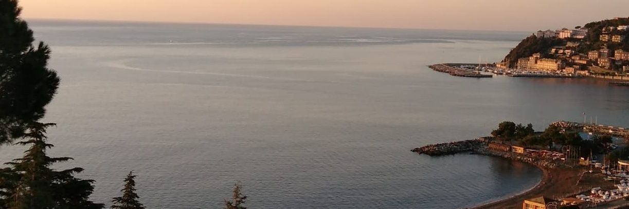 mac_81's profile banner image