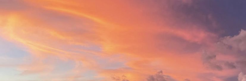 tortopia's profile banner image