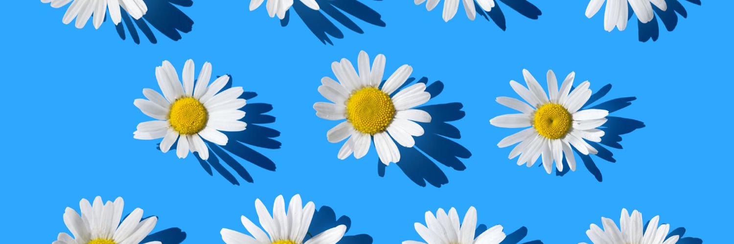 margheritacarp's profile banner image