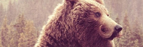 Stash8's profile banner image