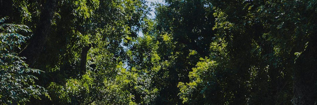 Antonny9's profile banner image