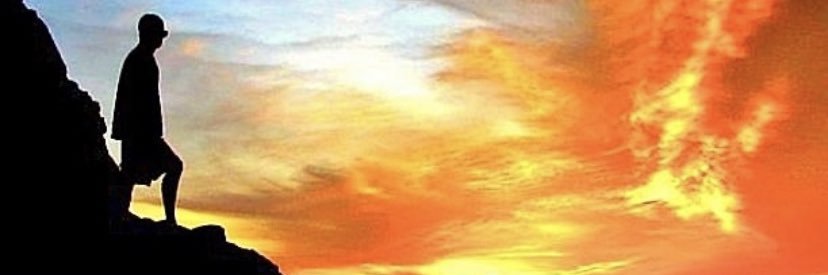 dodoveiga's profile banner image