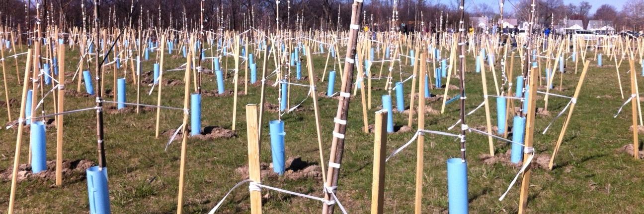 The Greening of Detroit banner