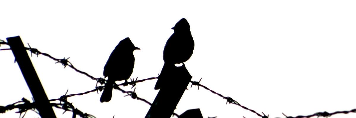 djoydip's profile banner image