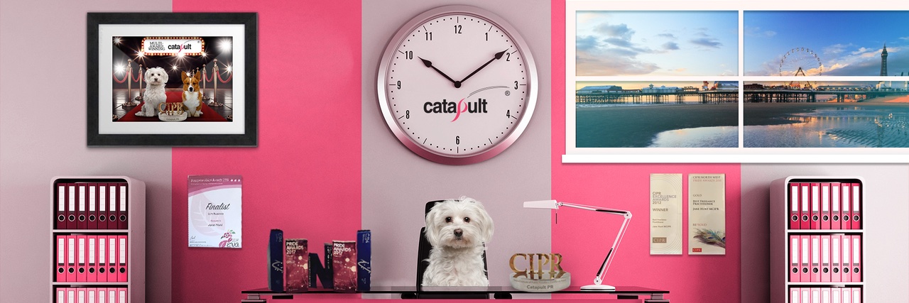 Catapultpublicr's profile banner image