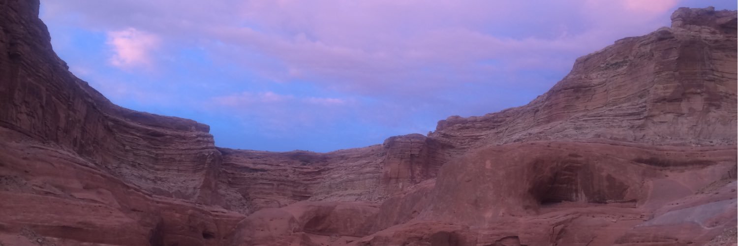 Theresa A Foxley banner