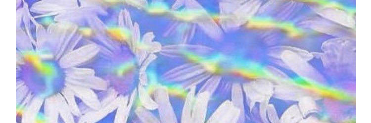 sophier09's profile banner image