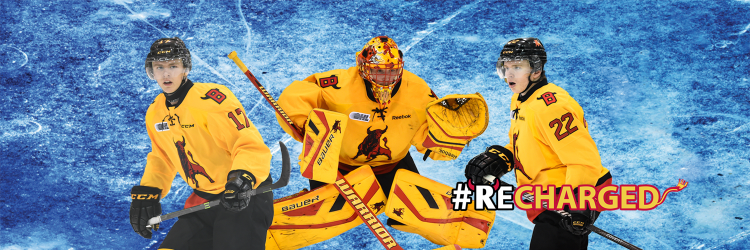 Belleville Bulls banner