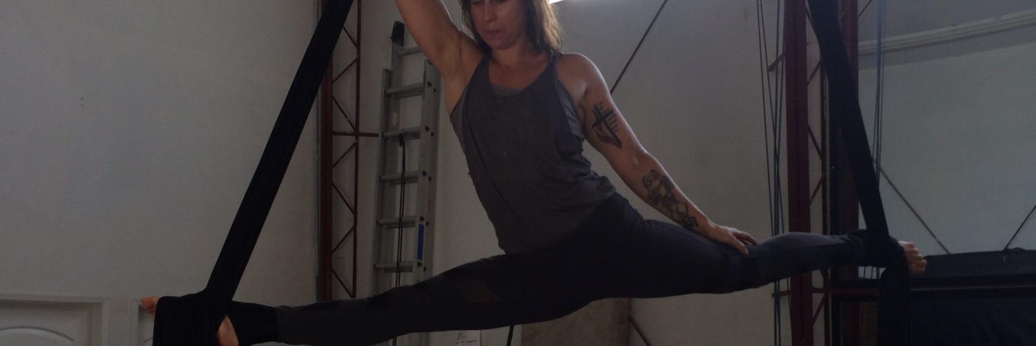 Chela Johnson banner