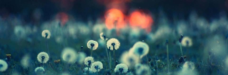 JordanRyanMansell✨ banner