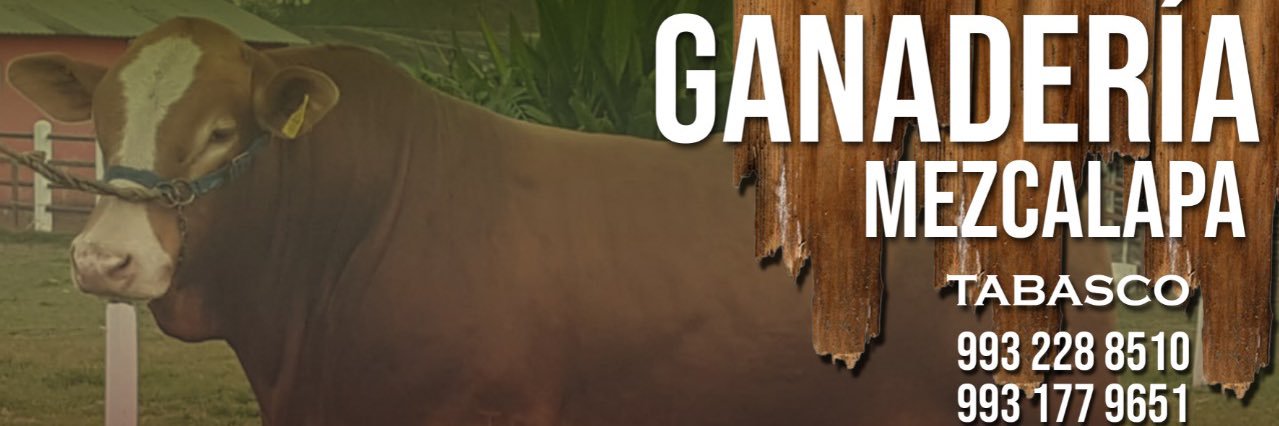 cayo21's profile banner image