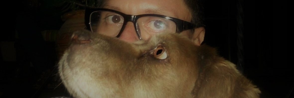 glugalde's profile banner image