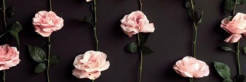 manoela_ag's profile banner image