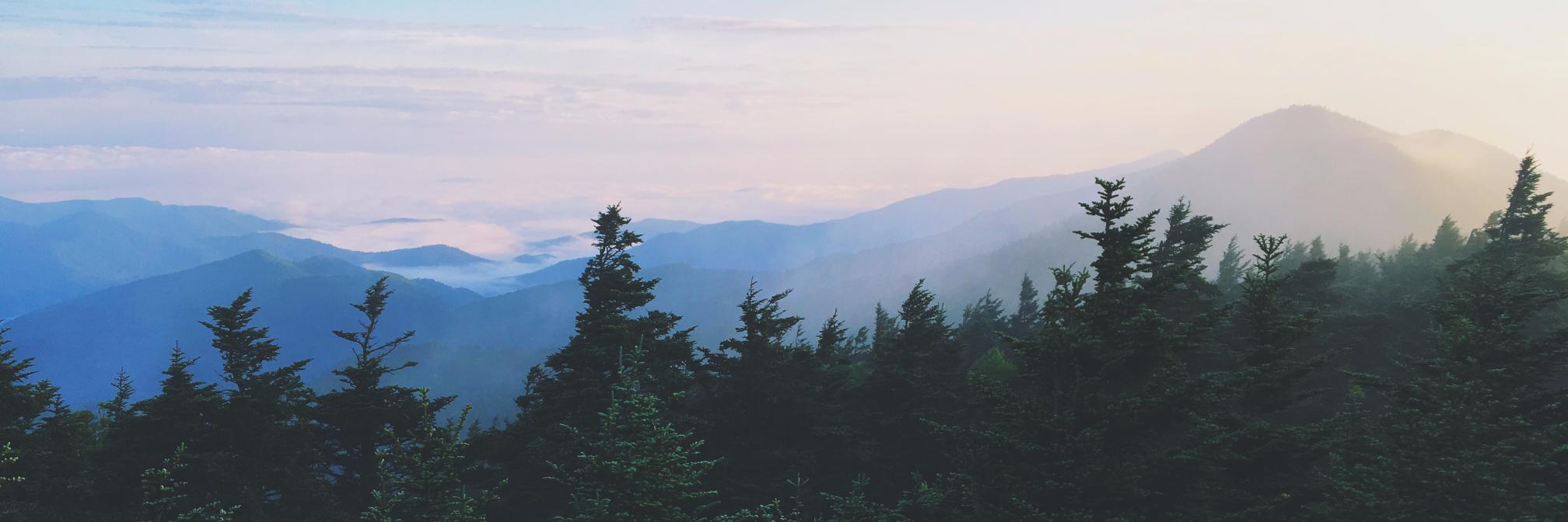 TrevorCochlin's profile banner image