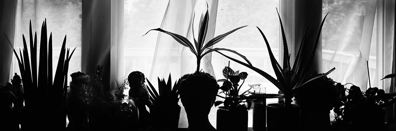 BrenROXX's profile banner image