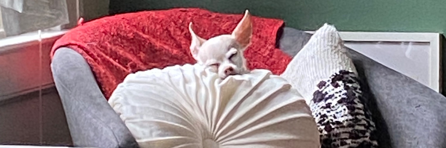 ThisIsNotAmerica banner