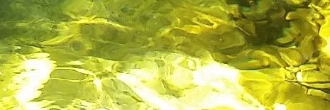 _MattWallace's profile banner image