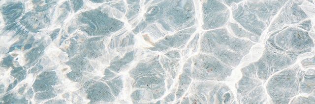 madamepetite's profile banner image