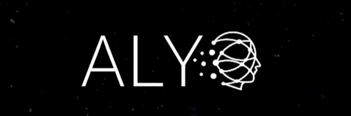 ALY Media Relations, LLC banner