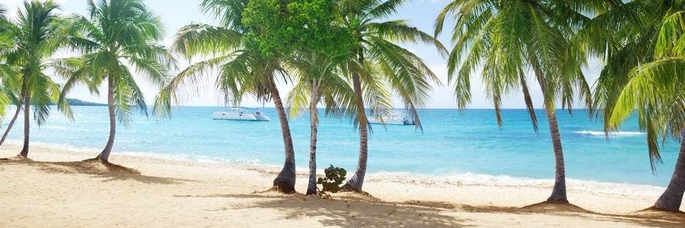 Matt Cook 🇬🇧 banner