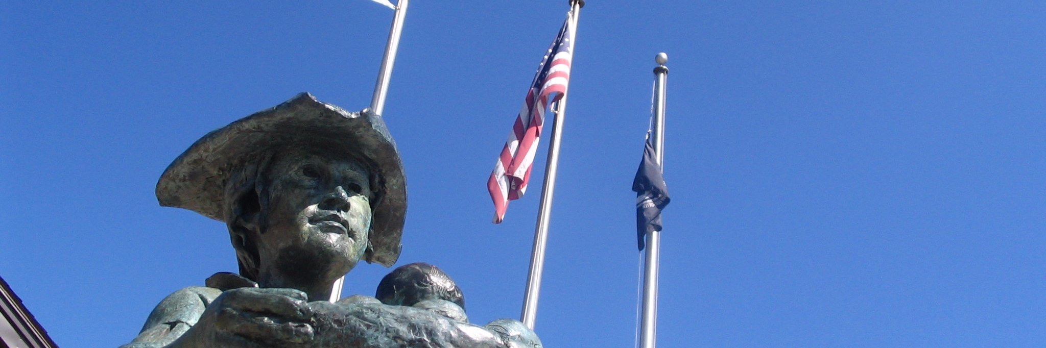 Roy Nascimento banner