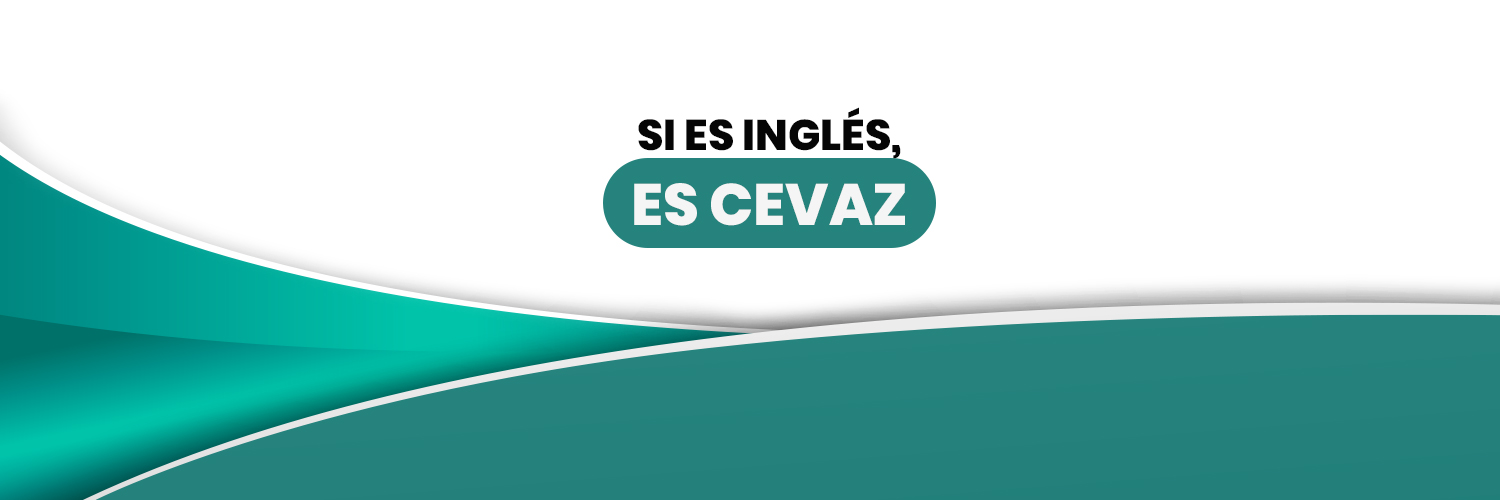 cevazzulia's profile banner image