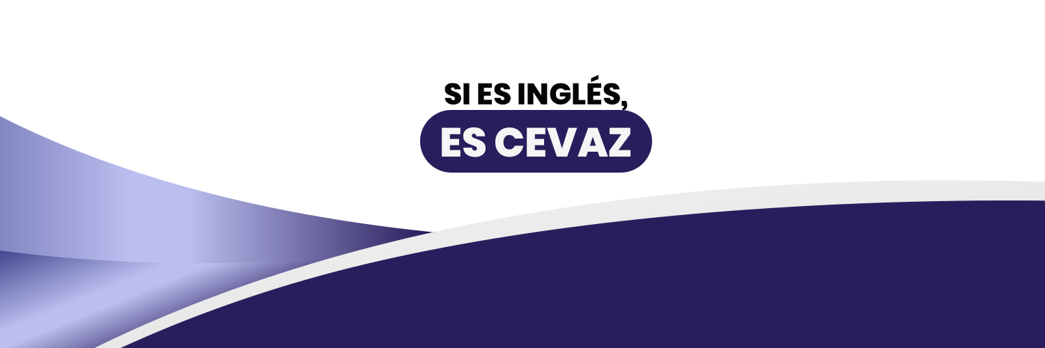 cevazzulia's profile banner image