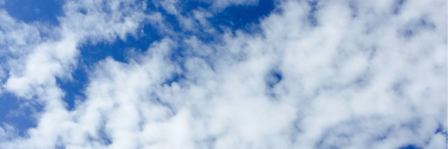crystalying's profile banner image
