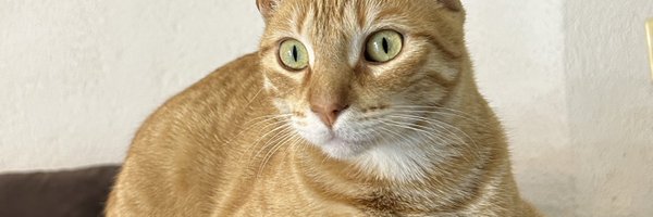 aixbren Profile Banner