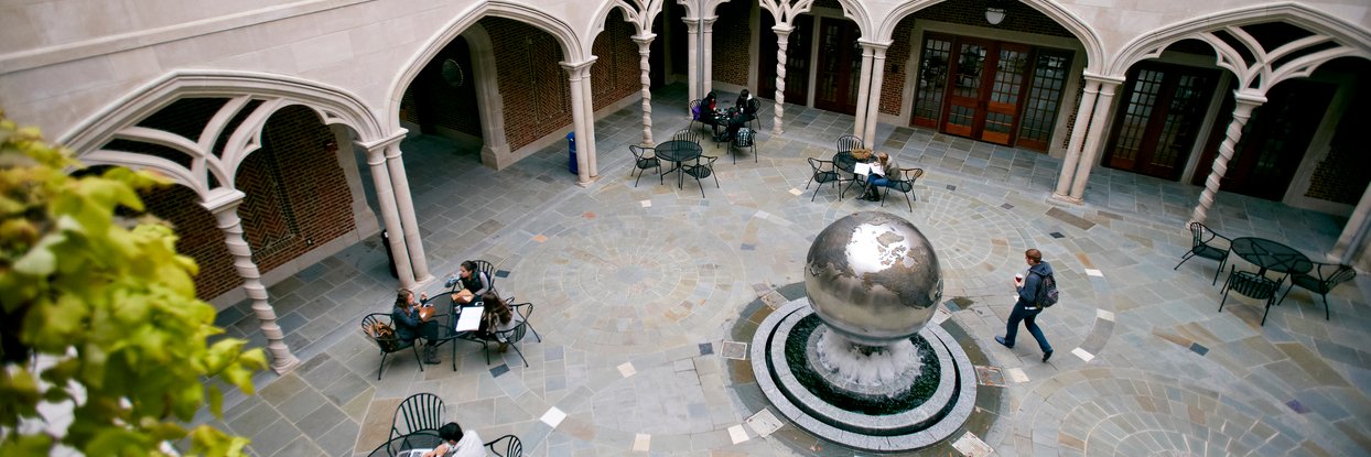 Spiders Abroad banner