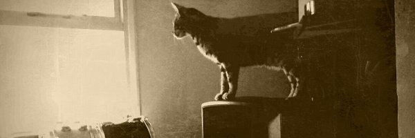 PlatformStrange Profile Banner