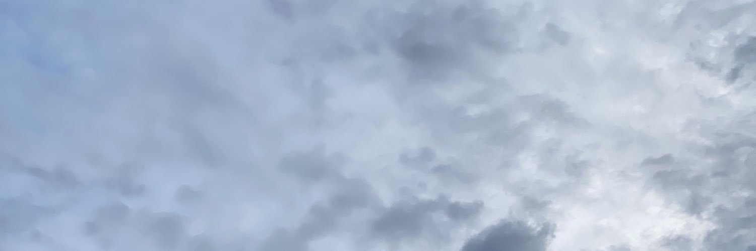 Callum_Li's profile banner image