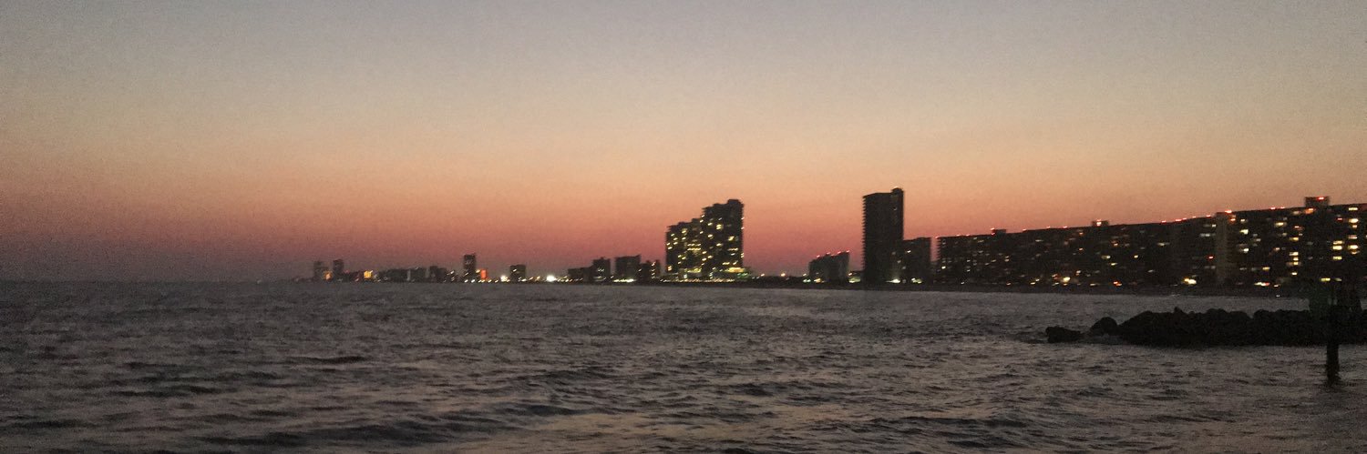T_Randolph's profile banner image
