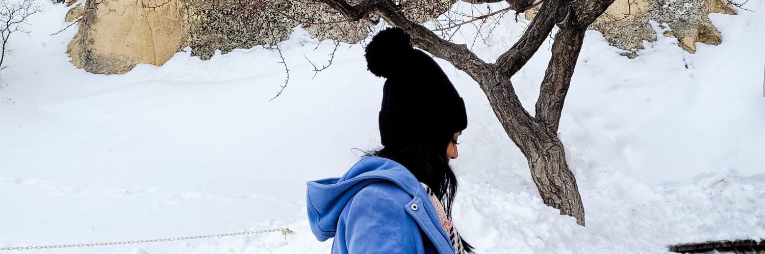 Stteff's profile banner image