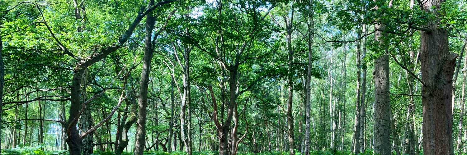 Nicola Davenport banner